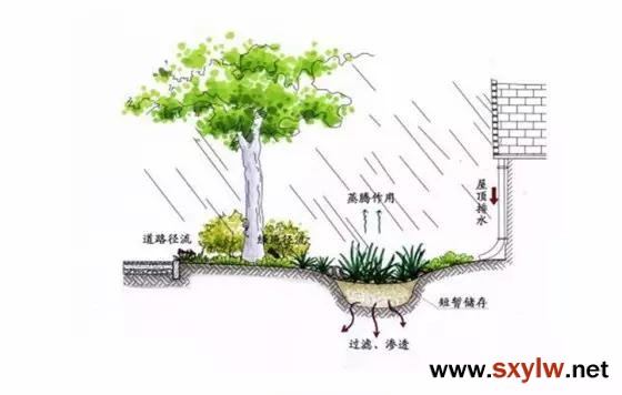 雨水花園就應(yīng)該這樣做